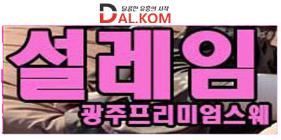 광주 설레임 스웨지시